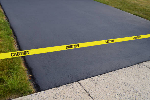 Best Driveway Drainage Solutions in Mexico Beach, FL